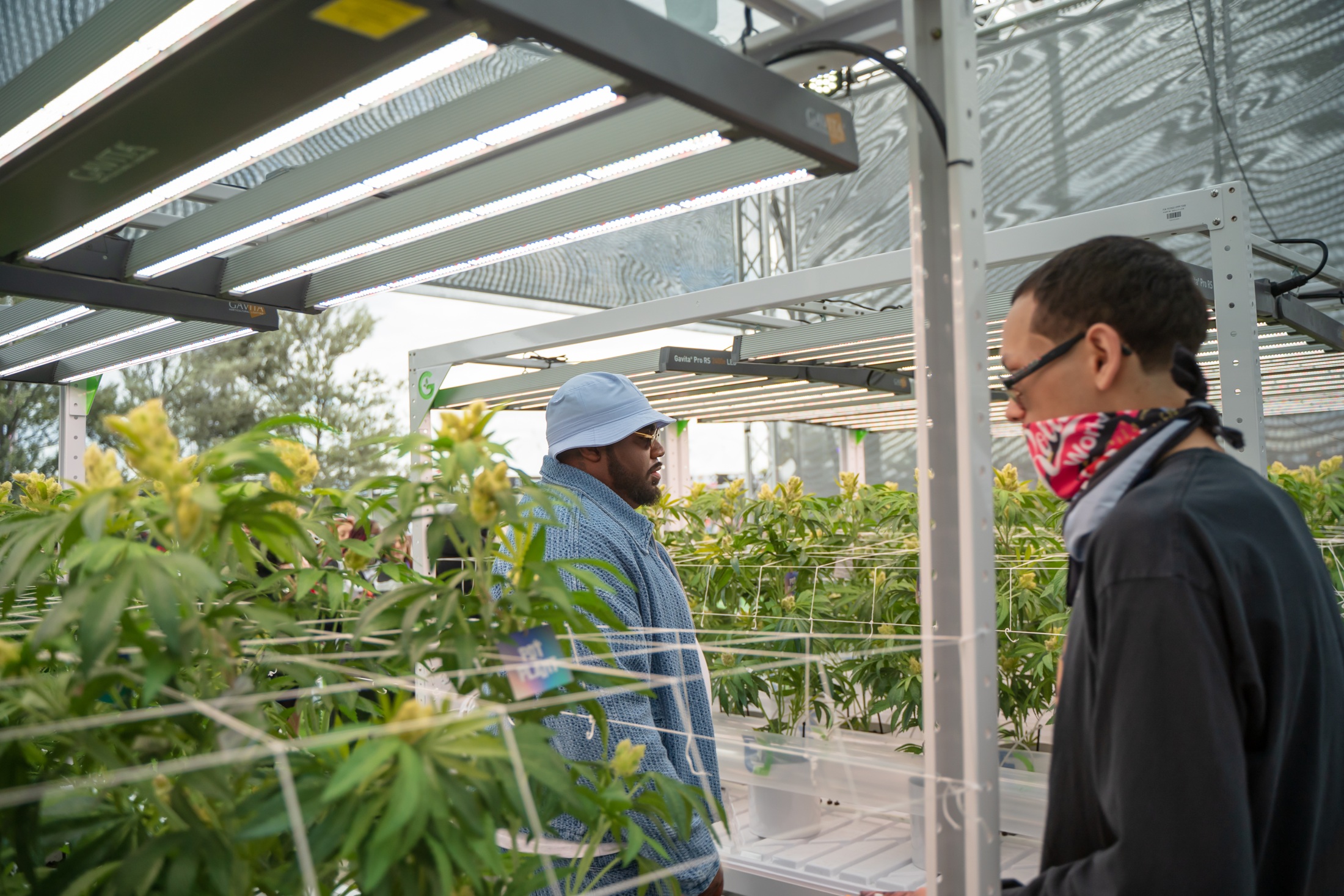 2024 visitors among real plants beneath rows of grow lights in the STIIIZY installation