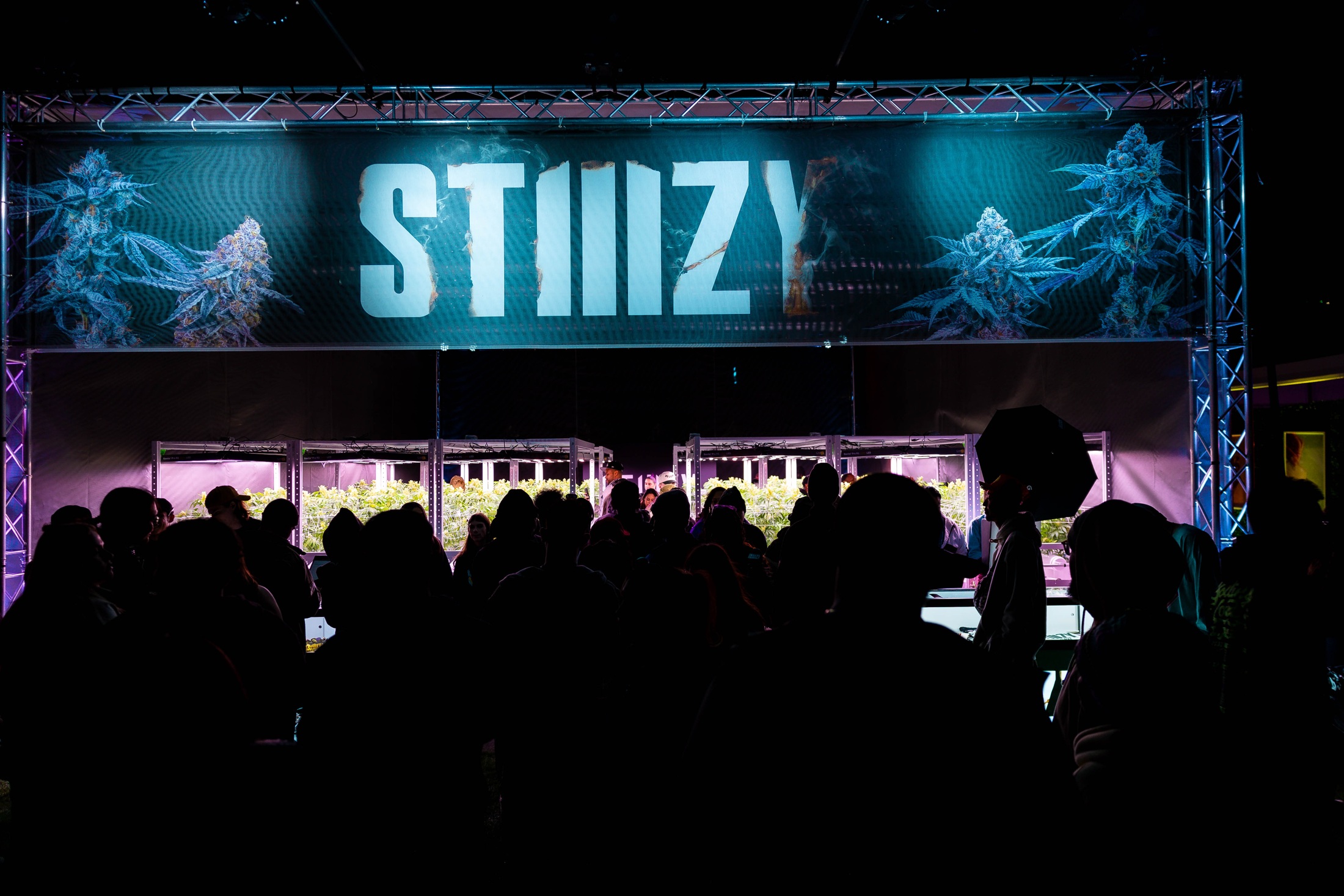 2024 illuminated STIIIZY grow installation with festival visitors after dark